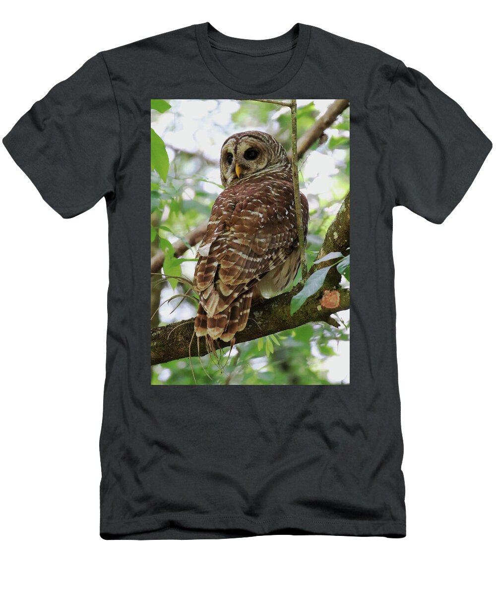 Barred Owl T-Shirt featuring the photograph Barred Owl by David T Wilkinson
