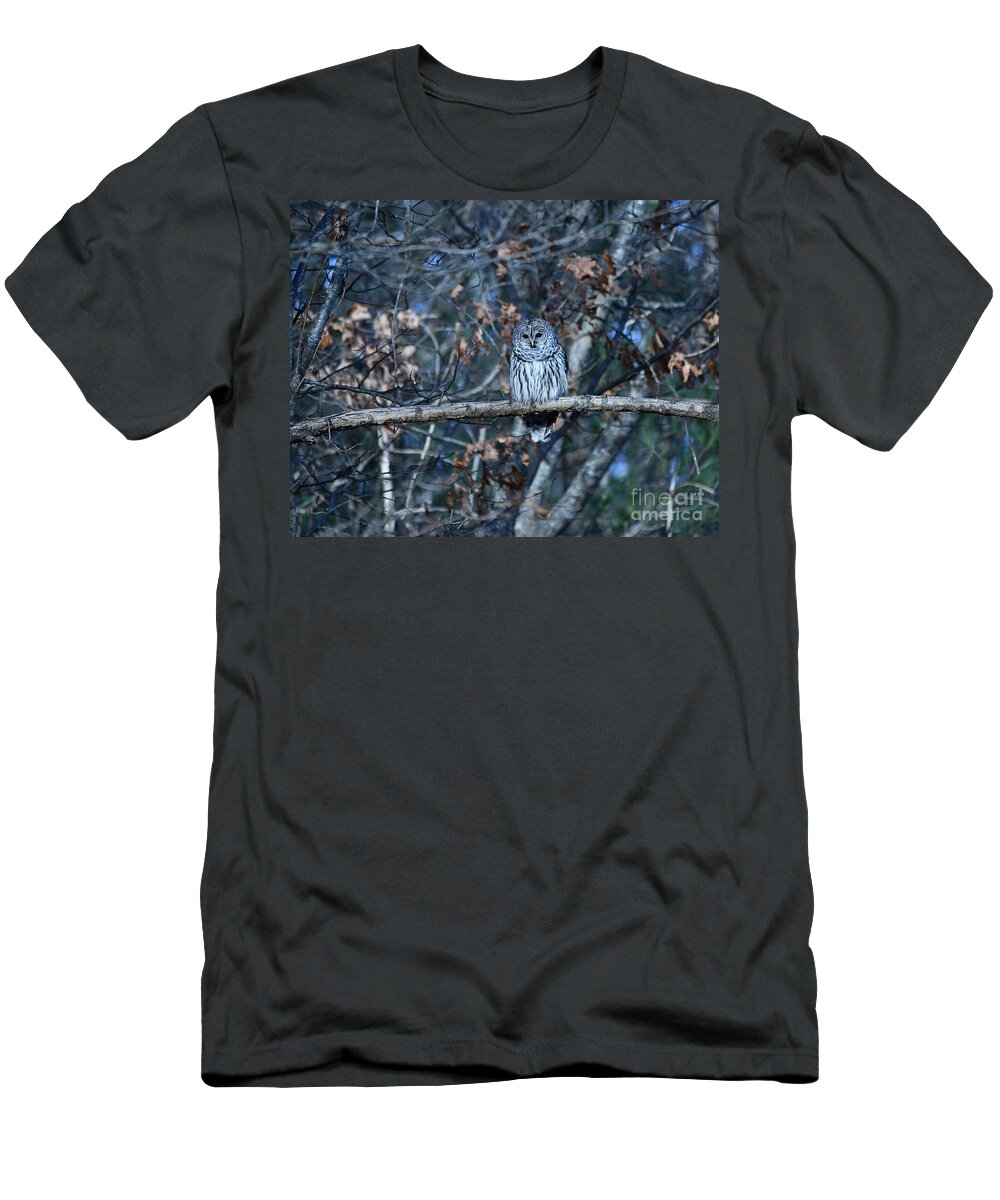 Owls T-Shirt featuring the photograph Barred Owl by Steve Brown