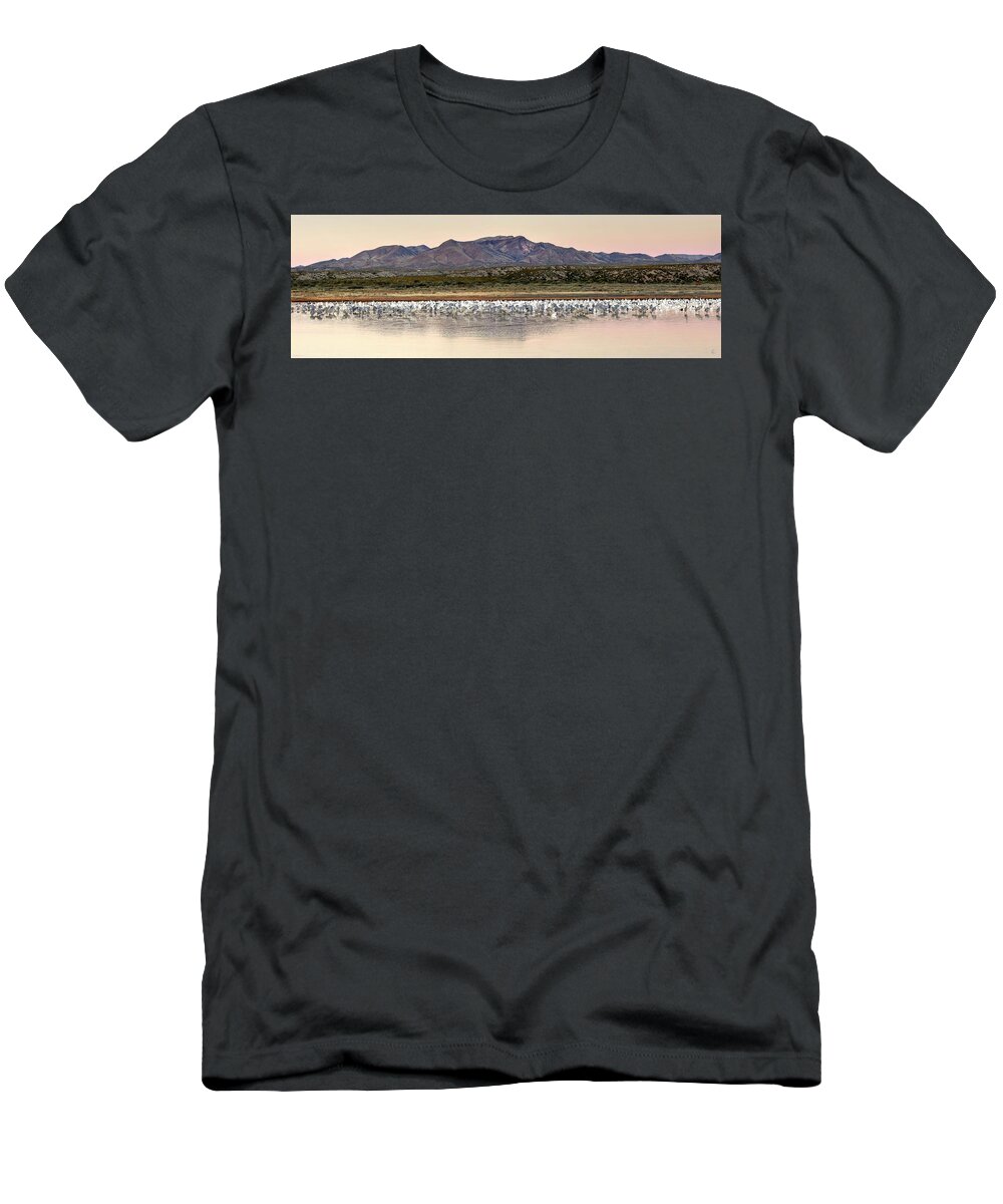 Fine Art T-Shirt featuring the photograph Basque del Apache Panorama III by Robert Harris
