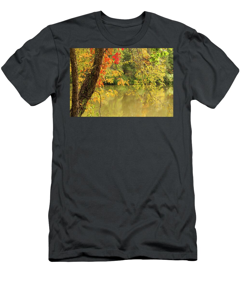 Bass Pond T-Shirt featuring the photograph Bass Pond Biltmore Estate by Rob Hemphill