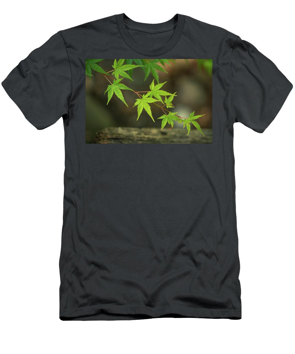Macro T-Shirt featuring the photograph Be Kind by Laura Macky