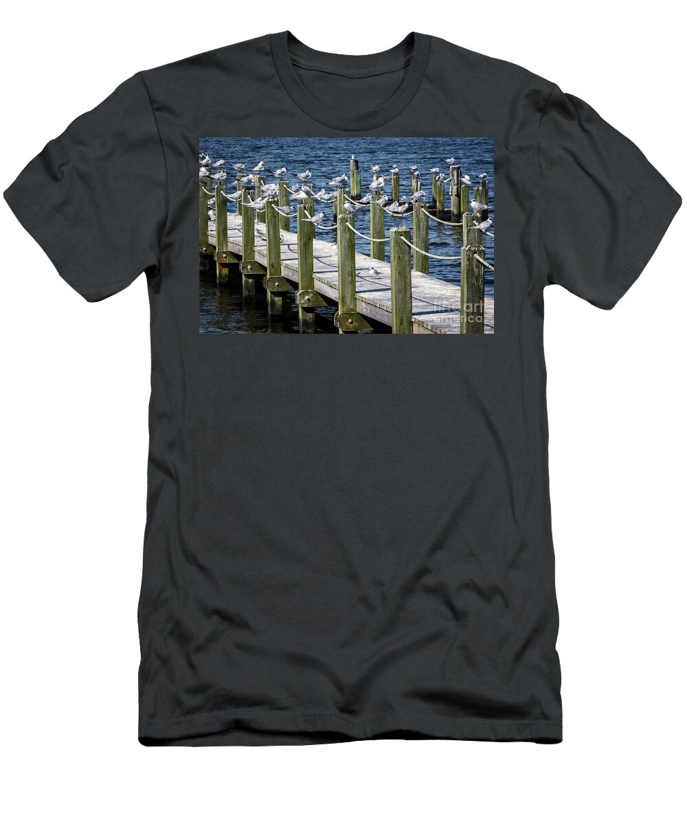 North Carolina T-Shirt featuring the photograph Beach Birds by Erin Marie Davis