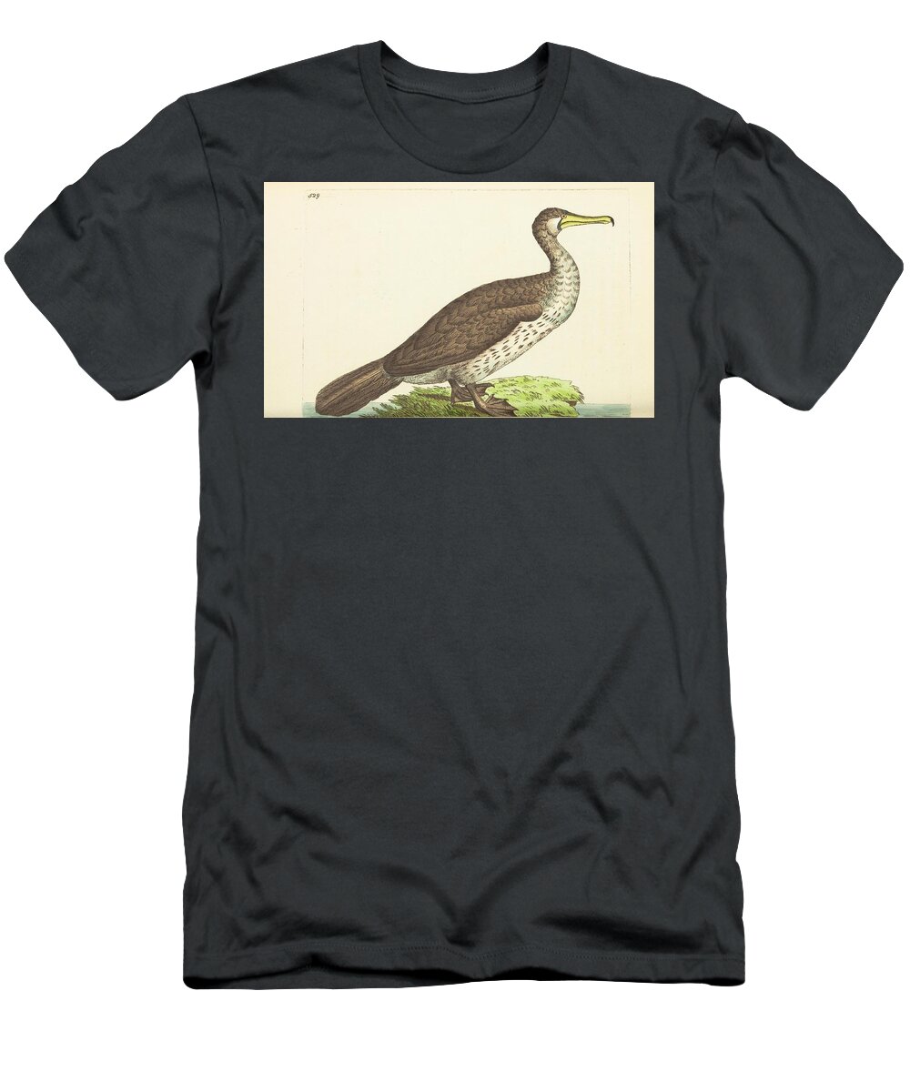 Ducks T-Shirt featuring the mixed media Beautiful antique waterfowl by World Art Collective
