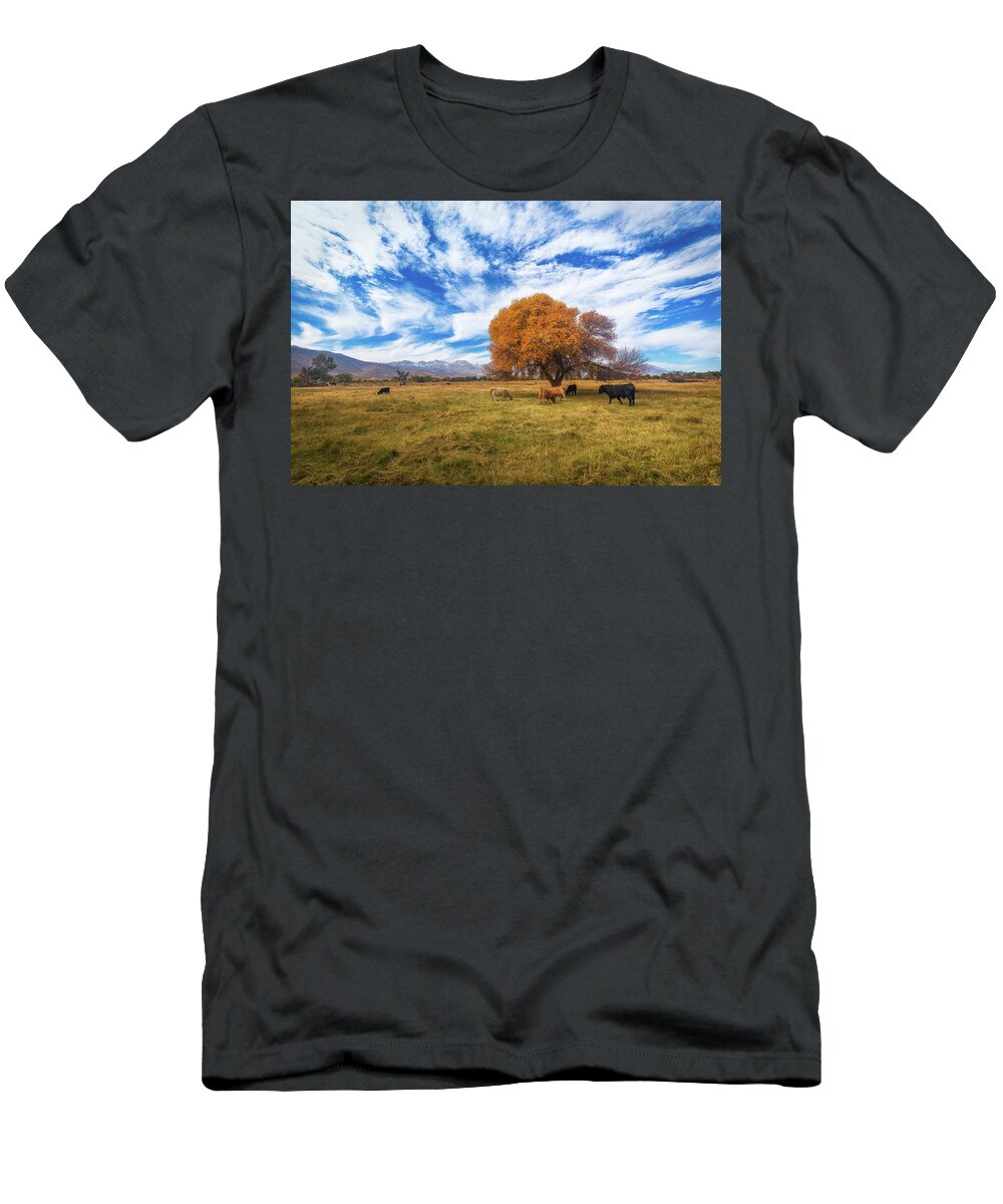 Cottonwood T-Shirt featuring the photograph Beautiful Bishop  by Tassanee Angiolillo