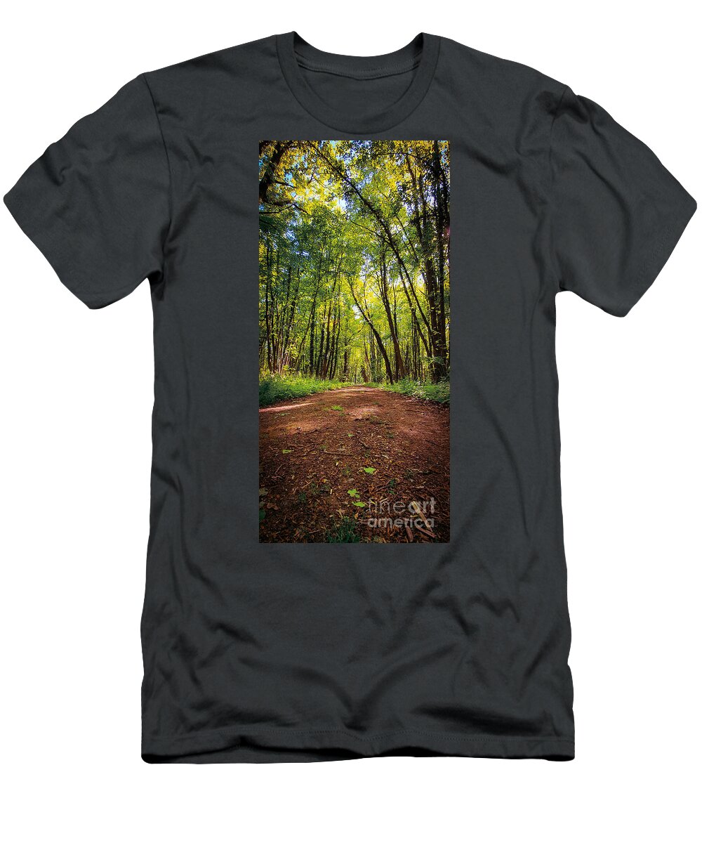 Forest T-Shirt featuring the photograph Beautiful forest biking and hiking trail by Mendelex Photography
