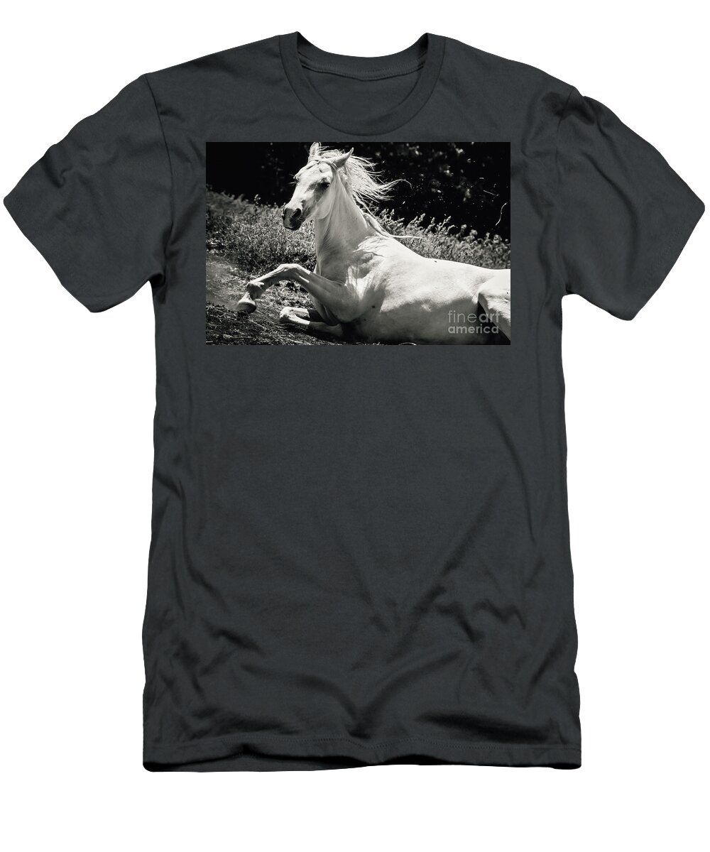 Horse T-Shirt featuring the photograph Beautiful White Horse Laying Down by Dimitar Hristov