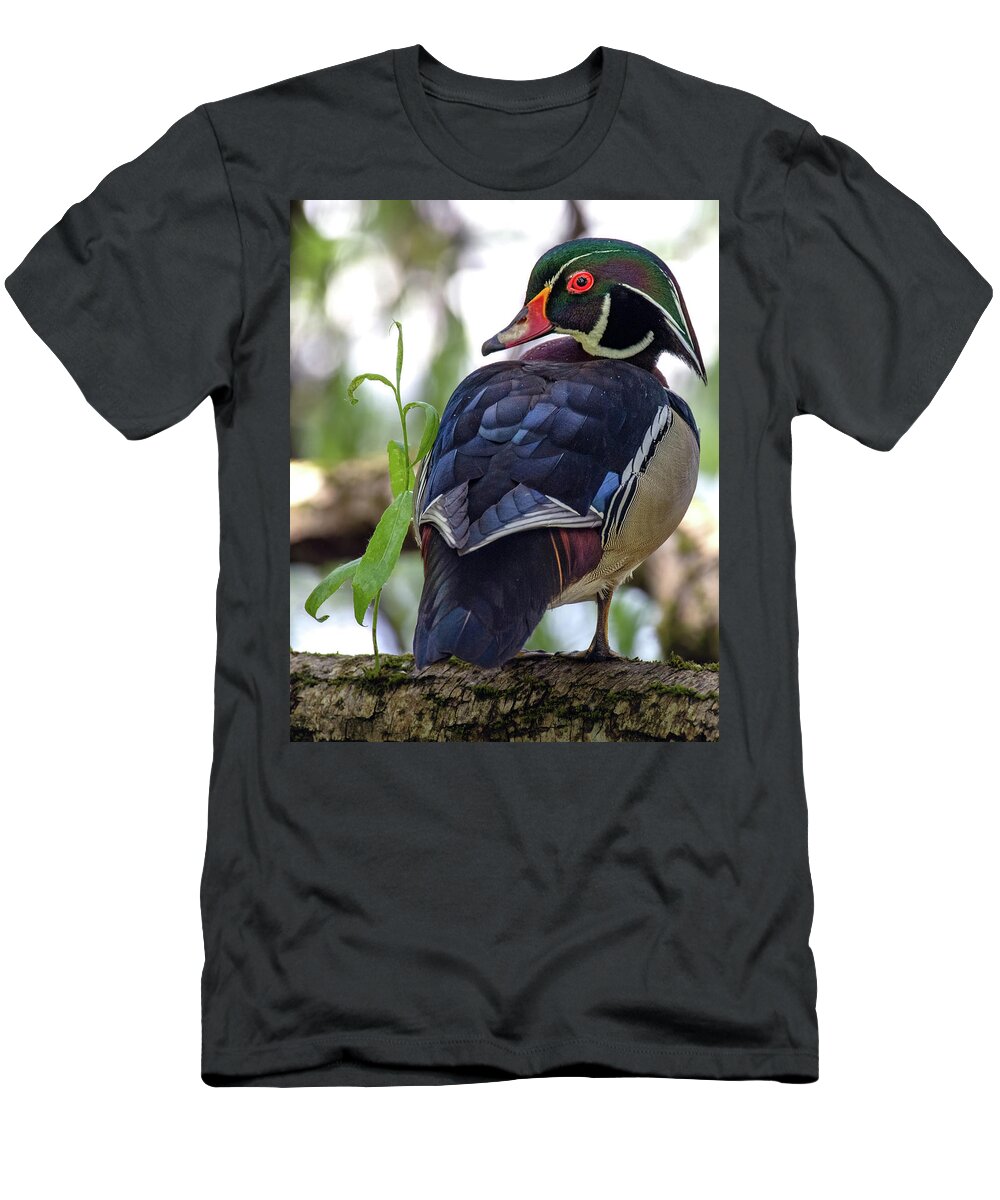 Rainbow Duck T-Shirt featuring the photograph Beautiful Wood Duck by Jerry Cahill