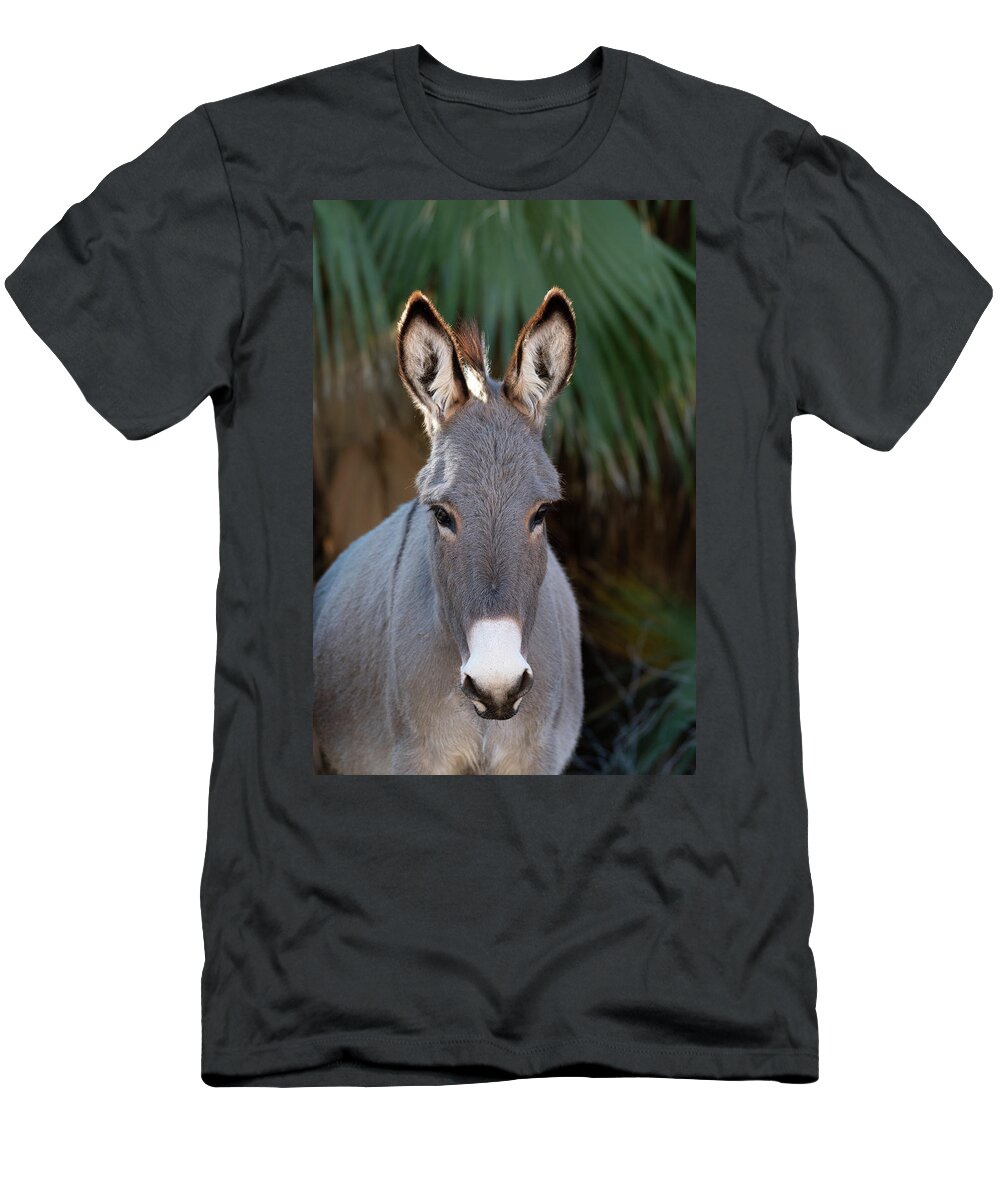 Wild Burro T-Shirt featuring the photograph Beauty in the Palms by Mary Hone