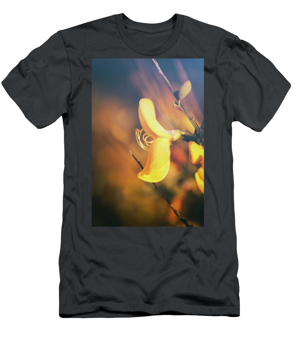 Cytisus T-Shirt featuring the photograph Beauty Of Cytisus by Jaroslav Buna