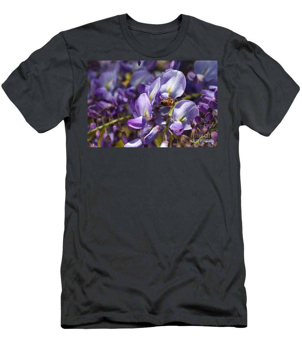 Acanthaceae T-Shirt featuring the photograph Bee Loving Wisteria Flowers by Joy Watson