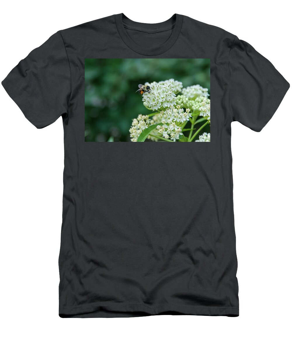 Bee T-Shirt featuring the photograph Bee Pollinating Flower by John Quinn