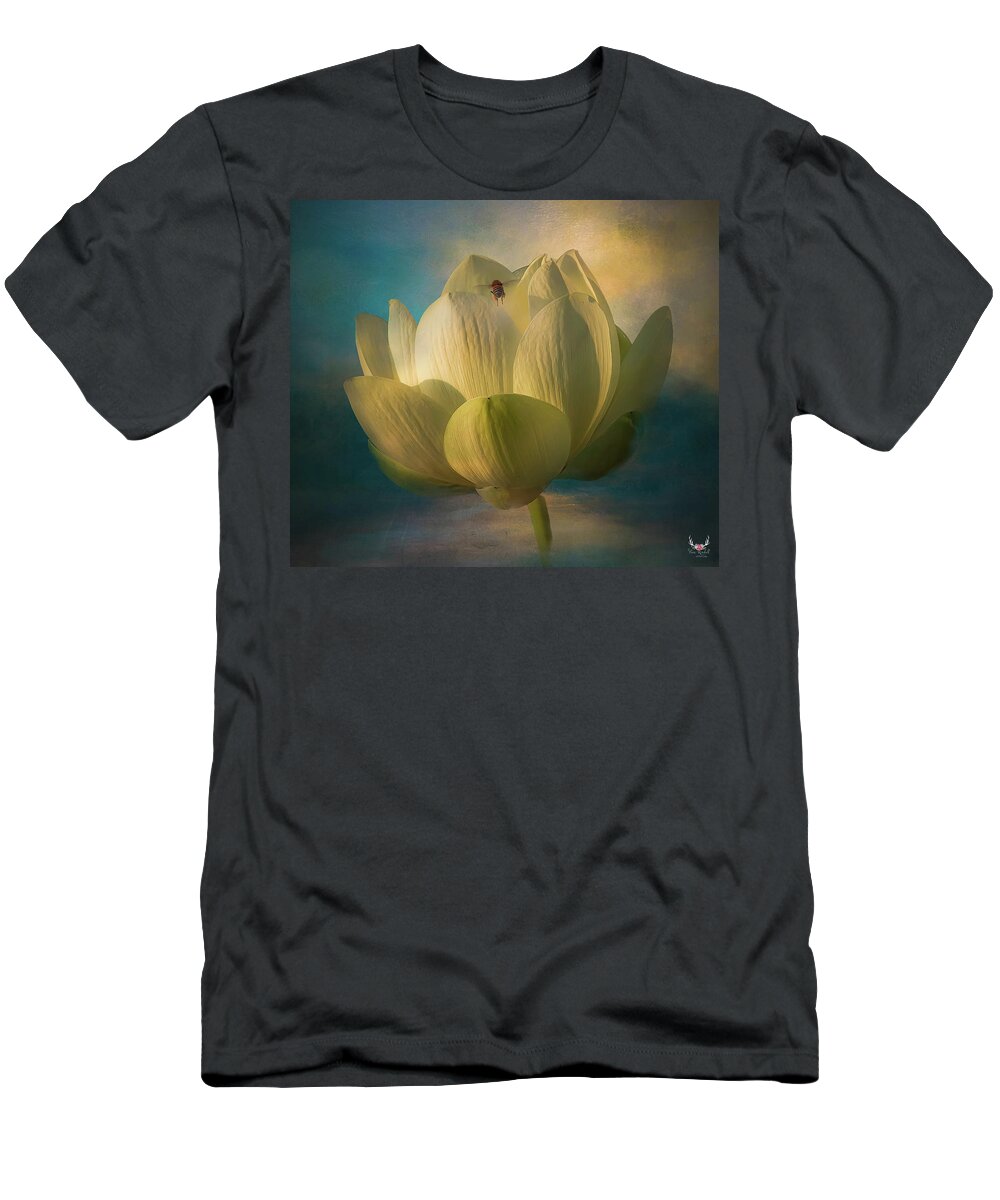 Bee T-Shirt featuring the photograph Beeline to Lotus by Pam Rendall