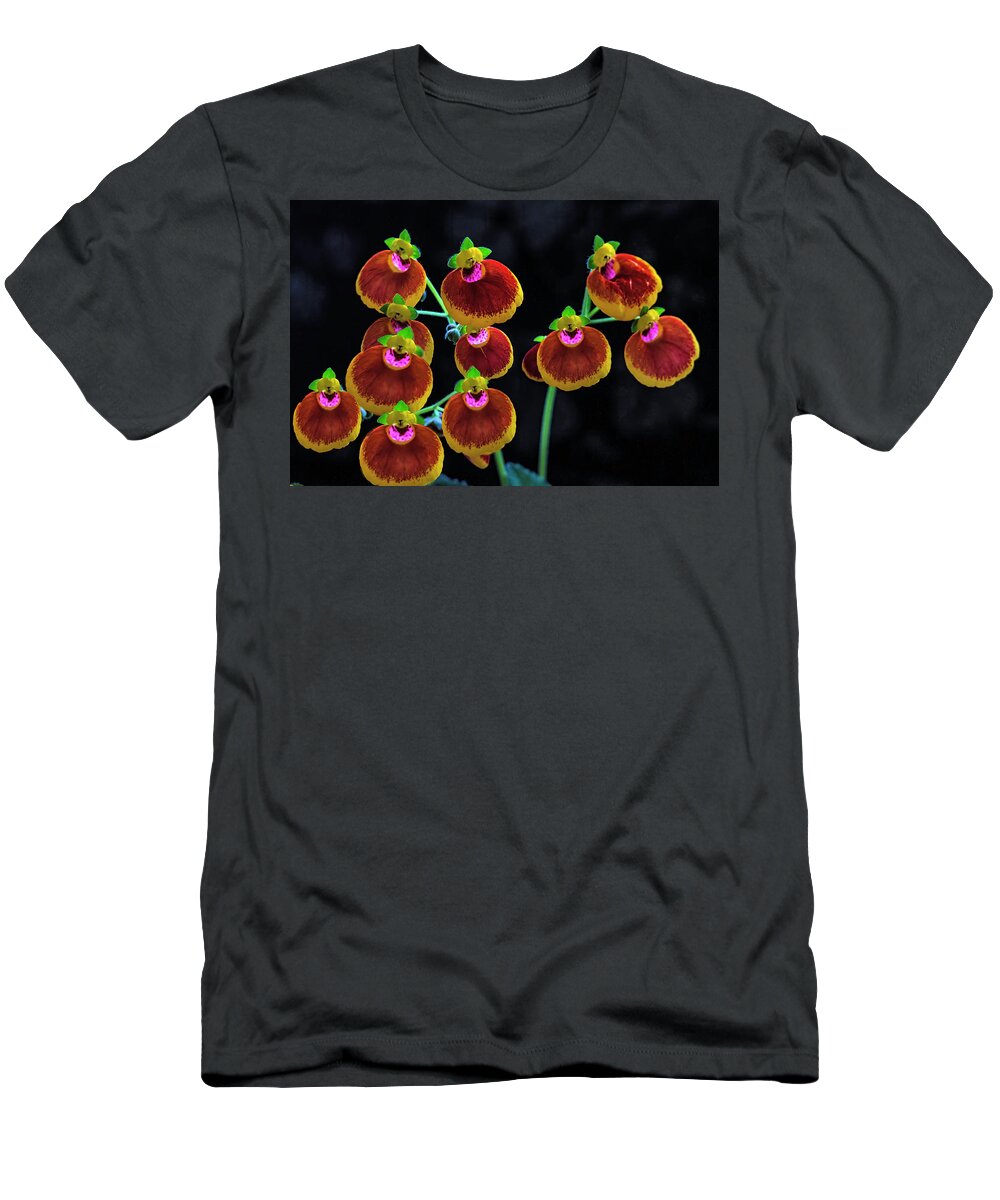 Flowers T-Shirt featuring the photograph Begonias by Skip Tribby