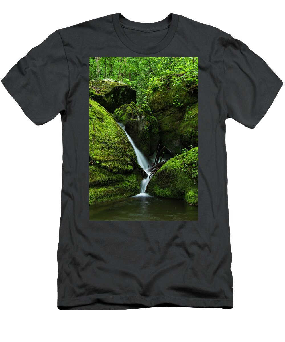 Great Smoky Mountains National Park T-Shirt featuring the photograph Below 1000 Drips 1 by Melissa Southern