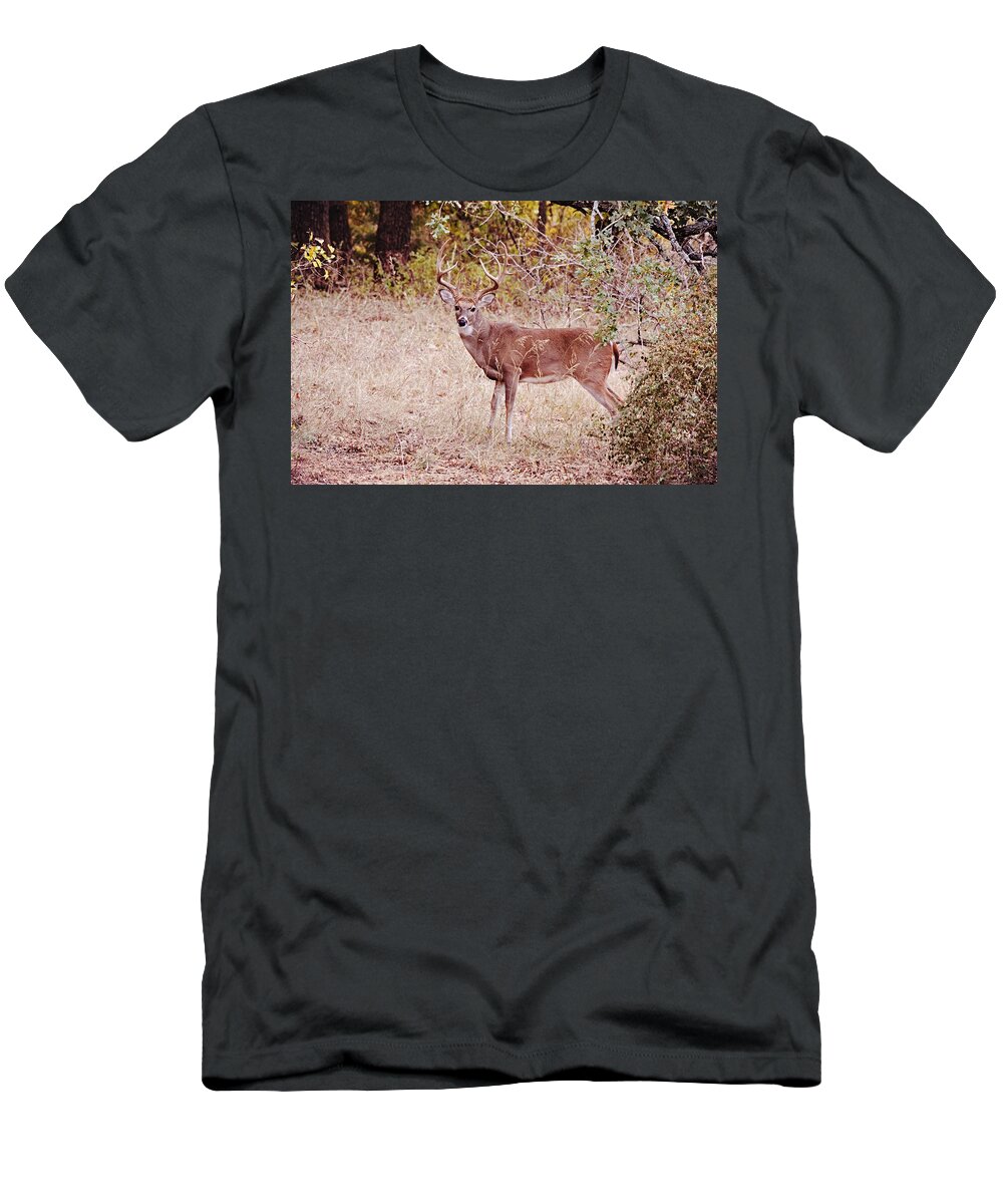 Deer T-Shirt featuring the photograph Big 12 Point Buck Deer in Wild by Gaby Ethington