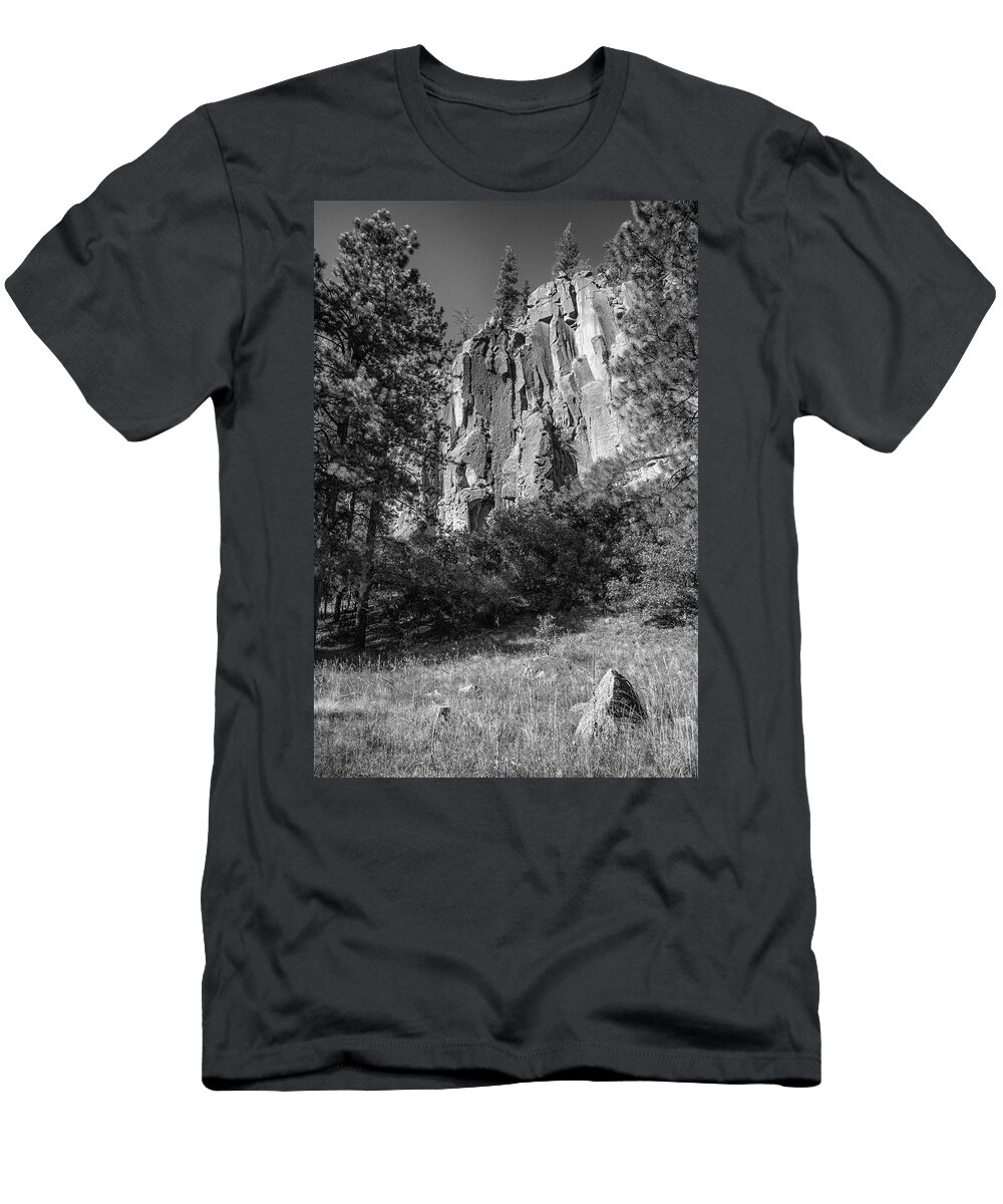 Cliffs T-Shirt featuring the photograph Big Cliff Little Rock by Mary Lee Dereske