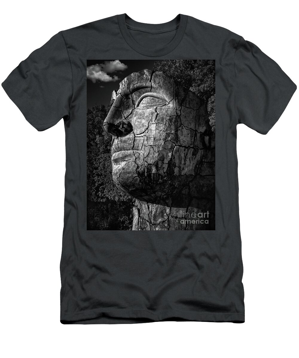 Tindaro Screpolato T-Shirt featuring the photograph Giant Cracked Head by Doug Sturgess