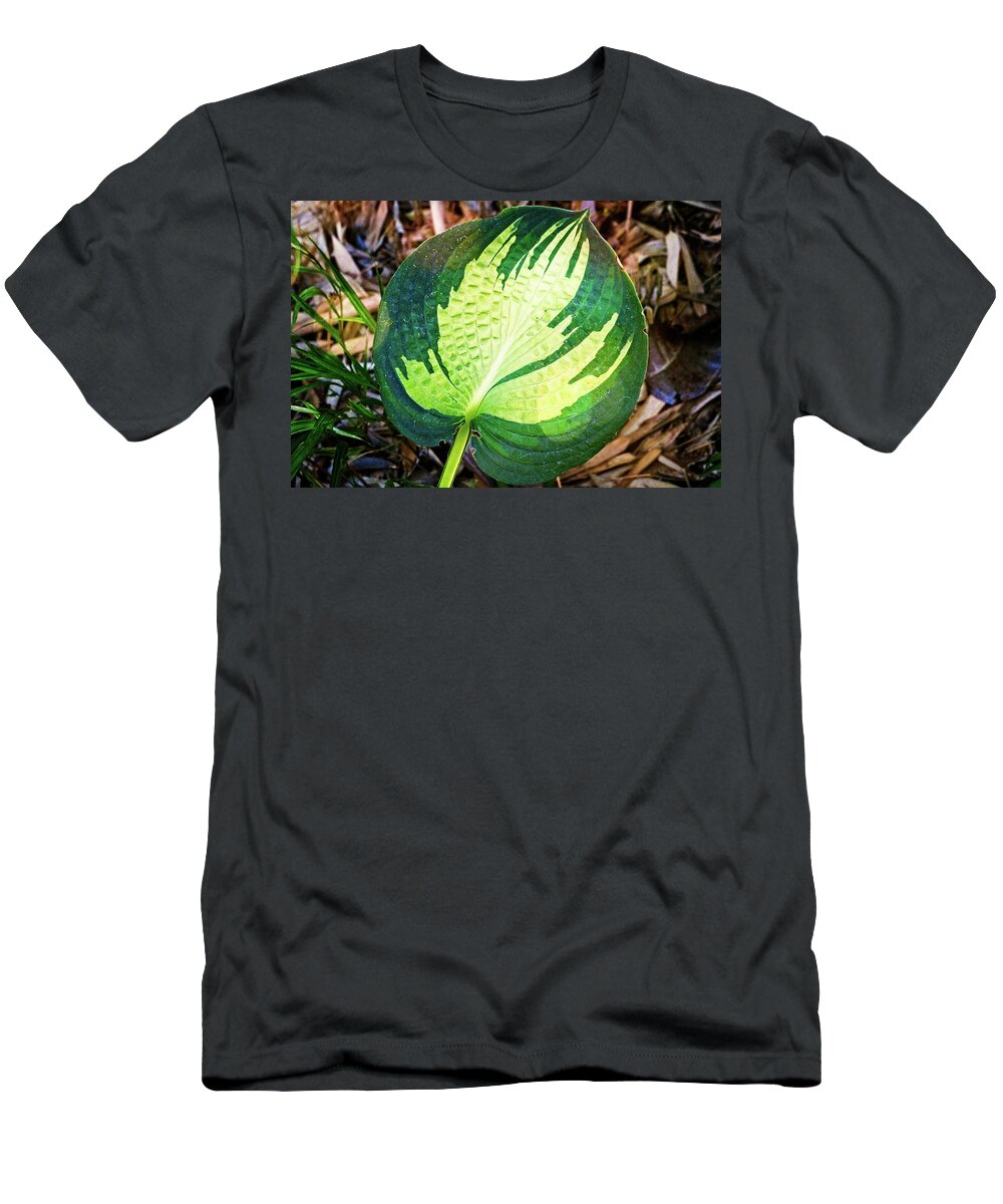 Blooming T-Shirt featuring the photograph Big Leaf by David Desautel
