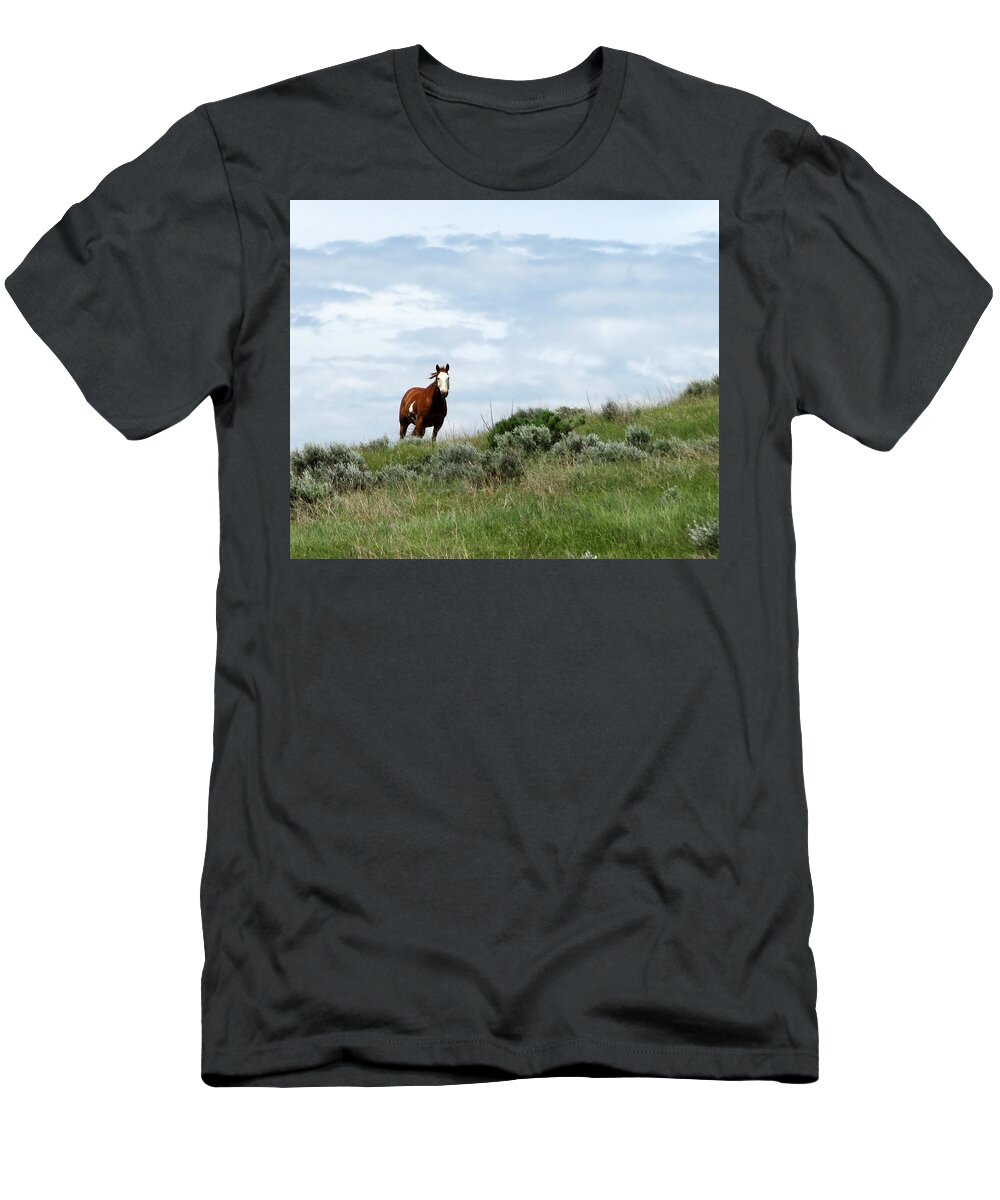 Horse T-Shirt featuring the photograph Big Sky Paint by Katie Keenan
