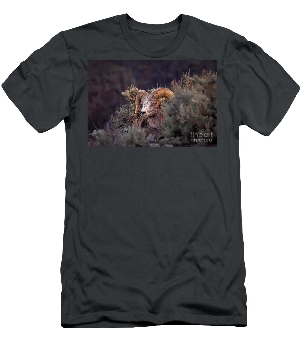 Taos T-Shirt featuring the photograph Bighorn in the Sage by Elijah Rael