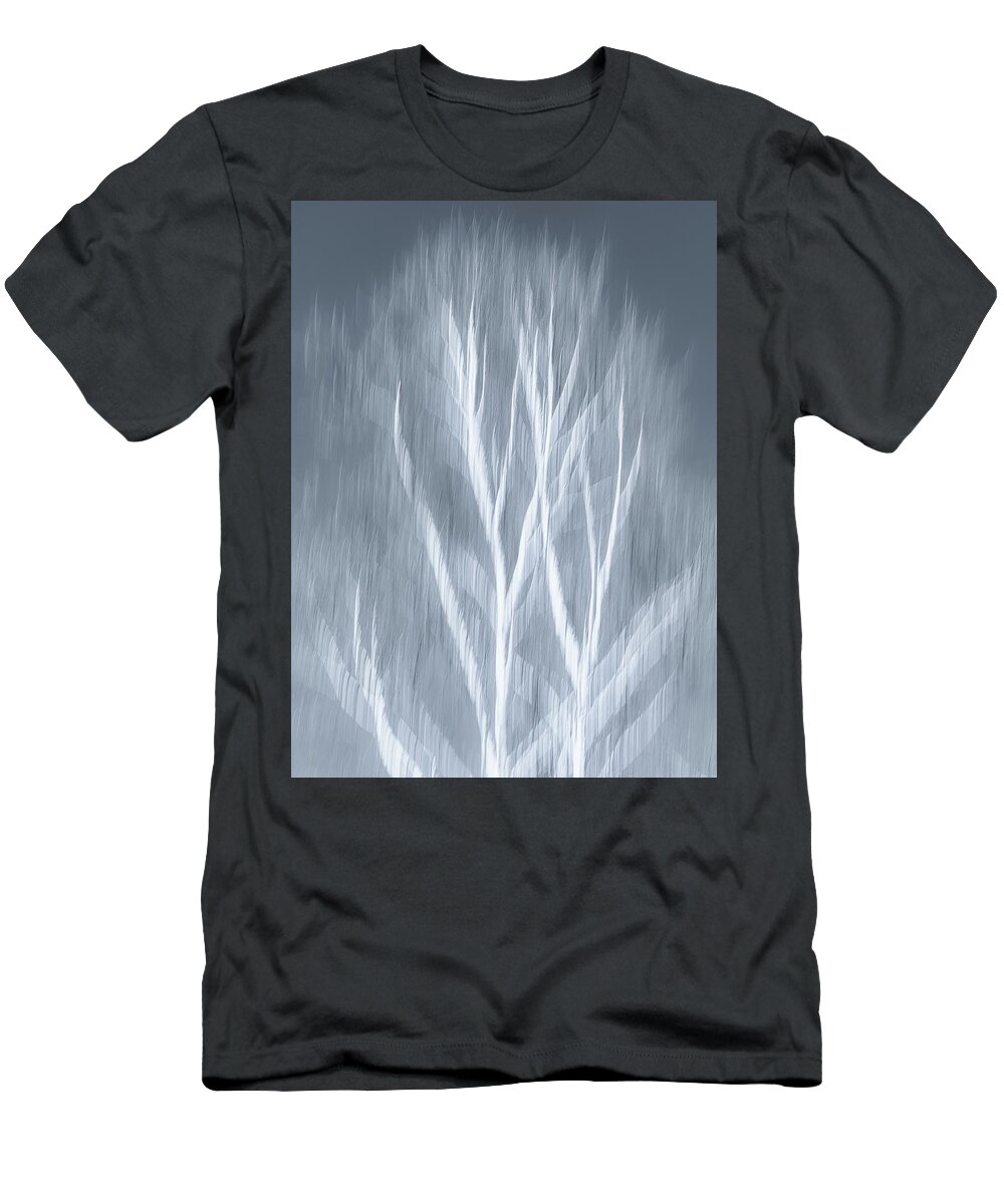 Birch T-Shirt featuring the photograph Birch abstract by Brad Bellisle