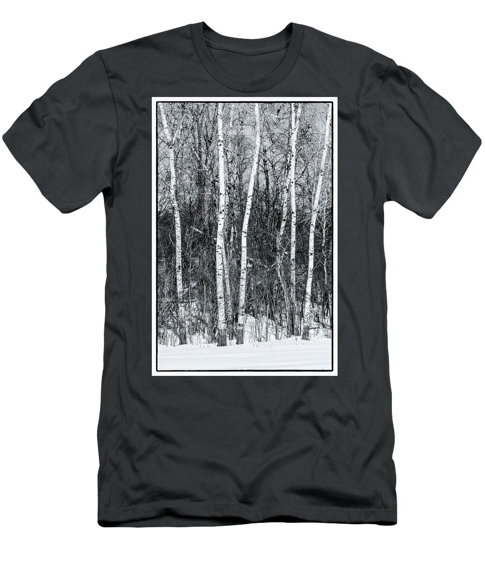 Trees T-Shirt featuring the photograph Birch Trees in Snowy Minnesota by Debby Richards