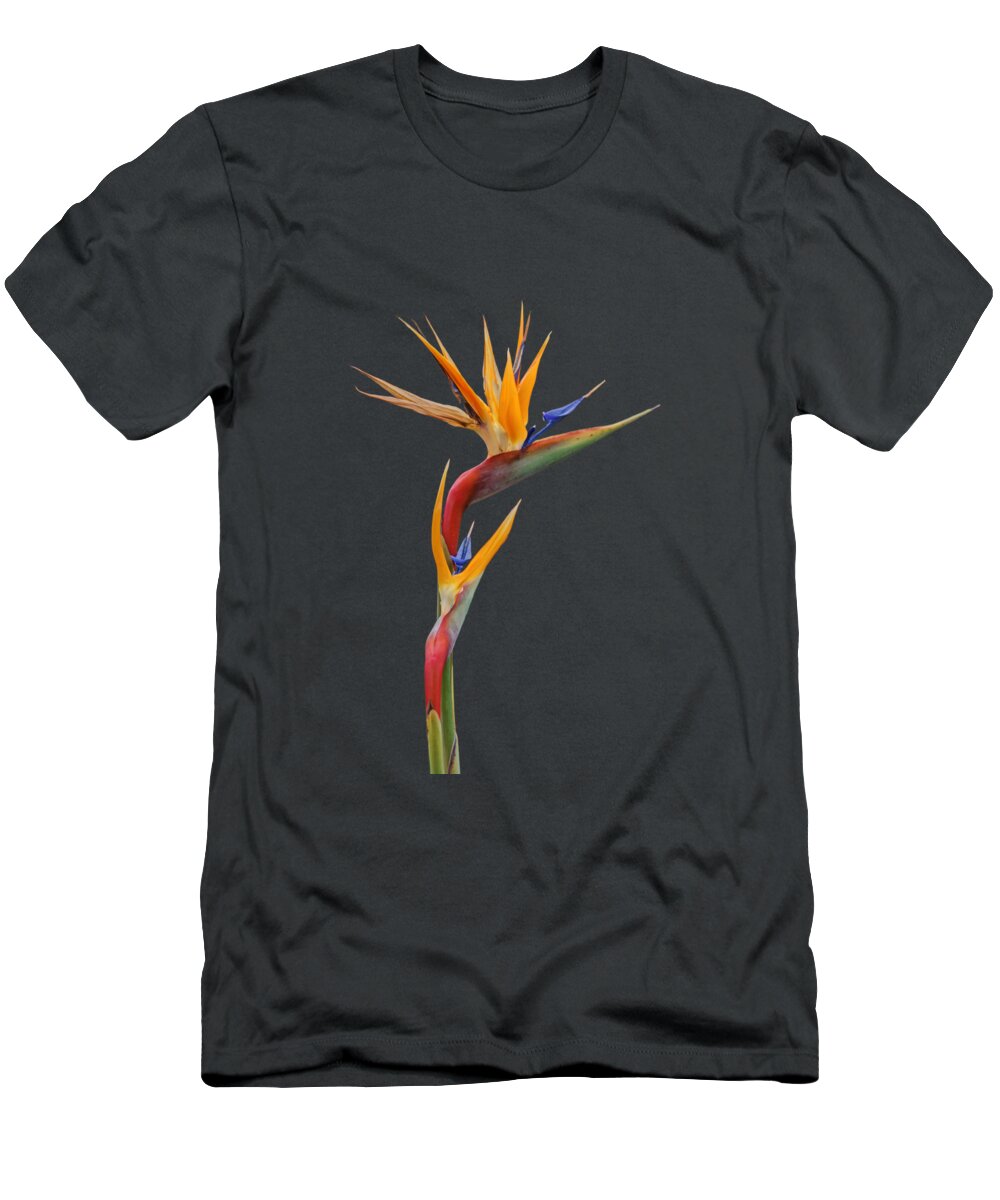 Flowers T-Shirt featuring the photograph Bird of Paradise - Flower - Transparent by Nikolyn McDonald