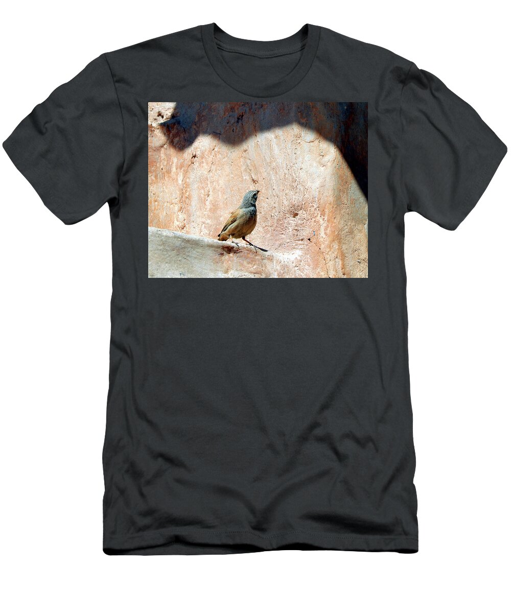  T-Shirt featuring the photograph Birds 18 by Eric Pengelly