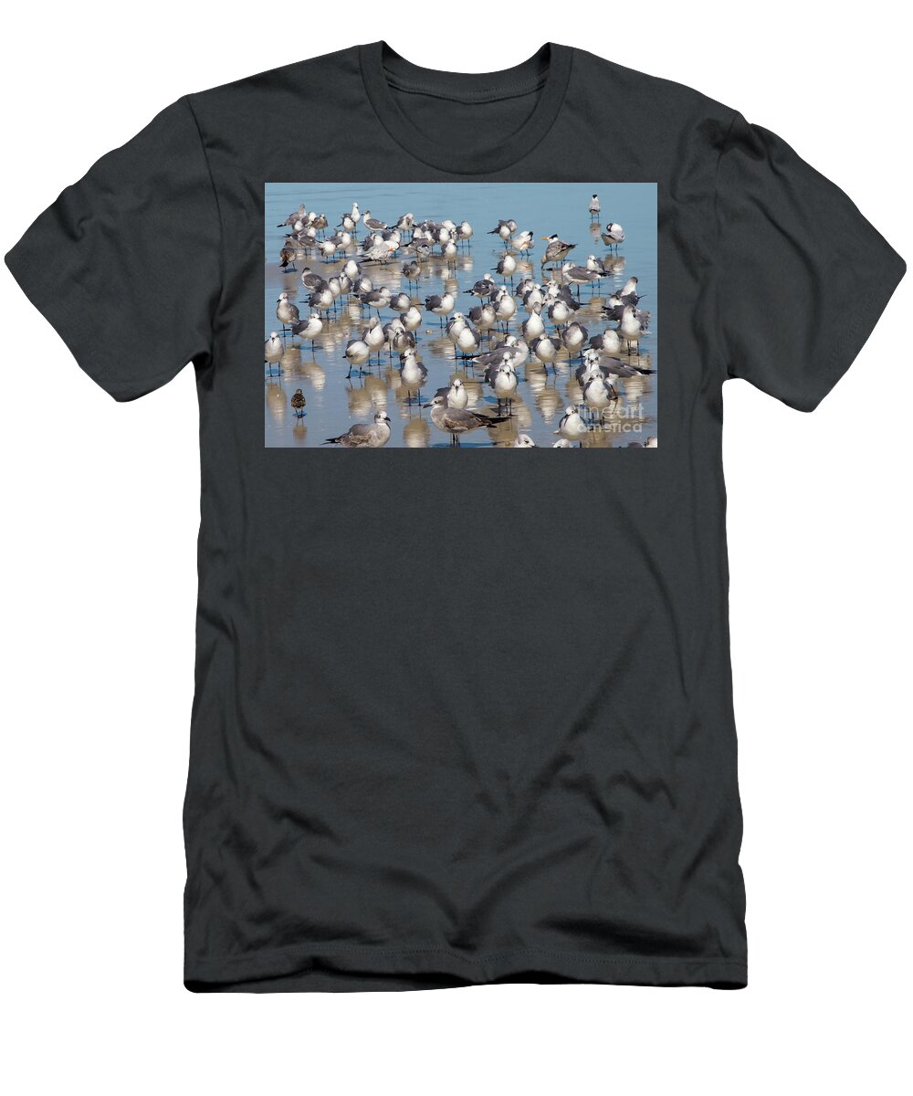 Terns T-Shirt featuring the photograph Birds on the Beach by Neala McCarten