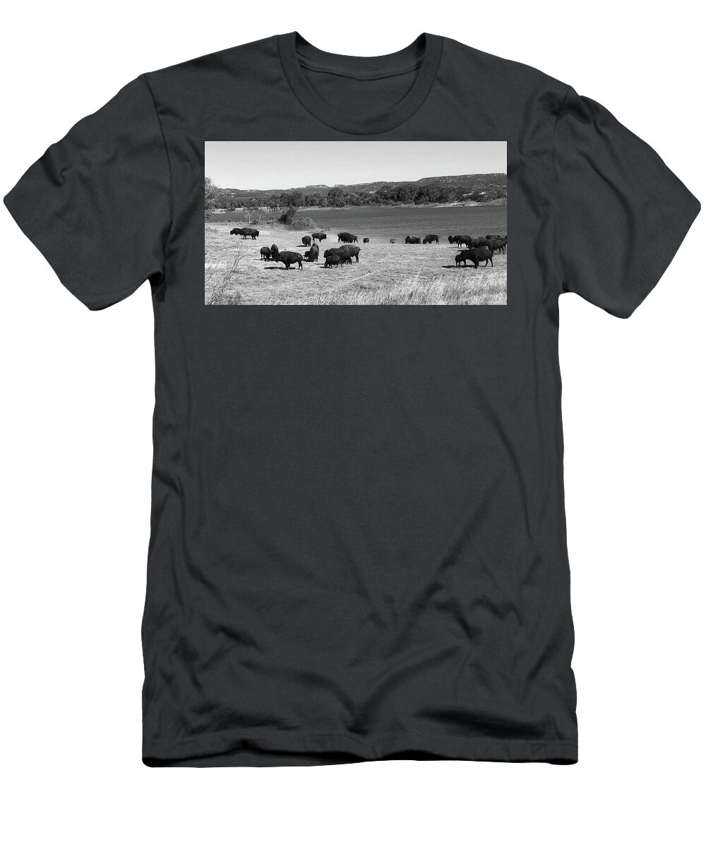 Richard E. Porter T-Shirt featuring the photograph Bison at Lake Theo 1, Caprock Canyons State Park, Texas by Richard Porter