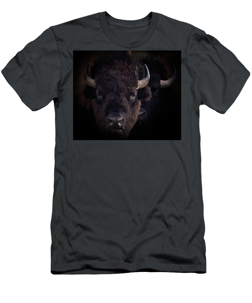 Bison T-Shirt featuring the photograph Bison by Laura Terriere