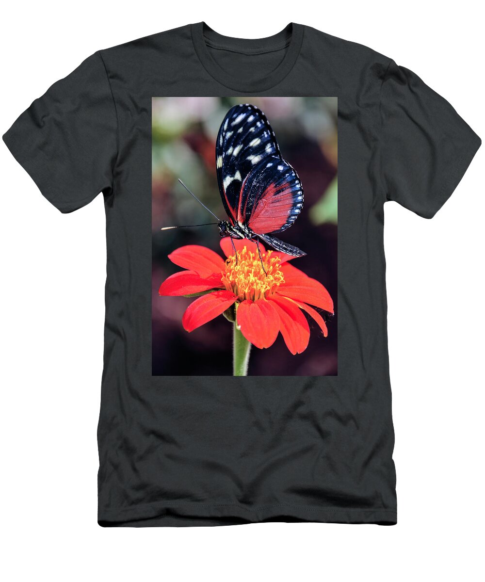 Black T-Shirt featuring the photograph Black and Red Butterfly on Red Flower by WAZgriffin Digital