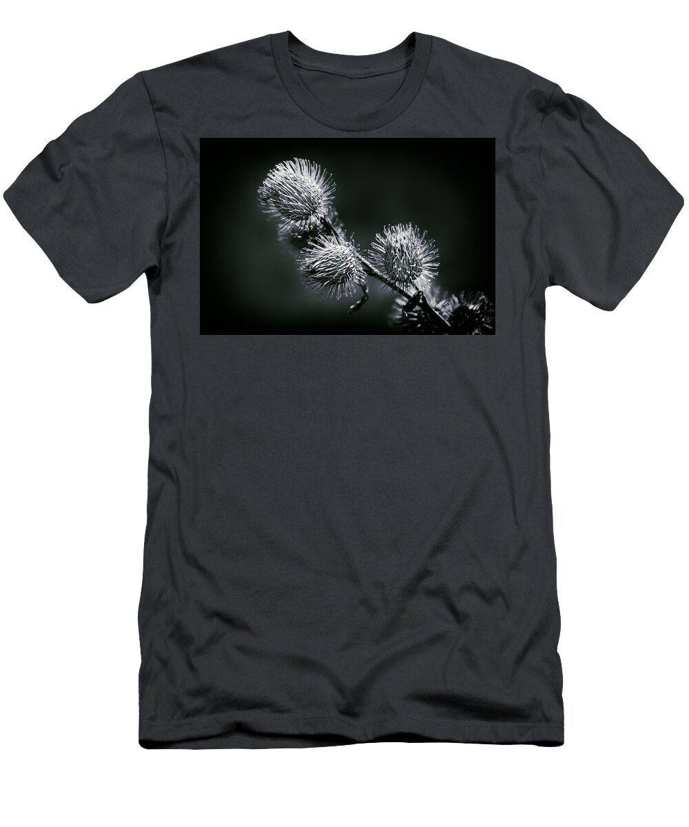 Black And White Photography T-Shirt featuring the photograph Black and White by Carrie Hannigan