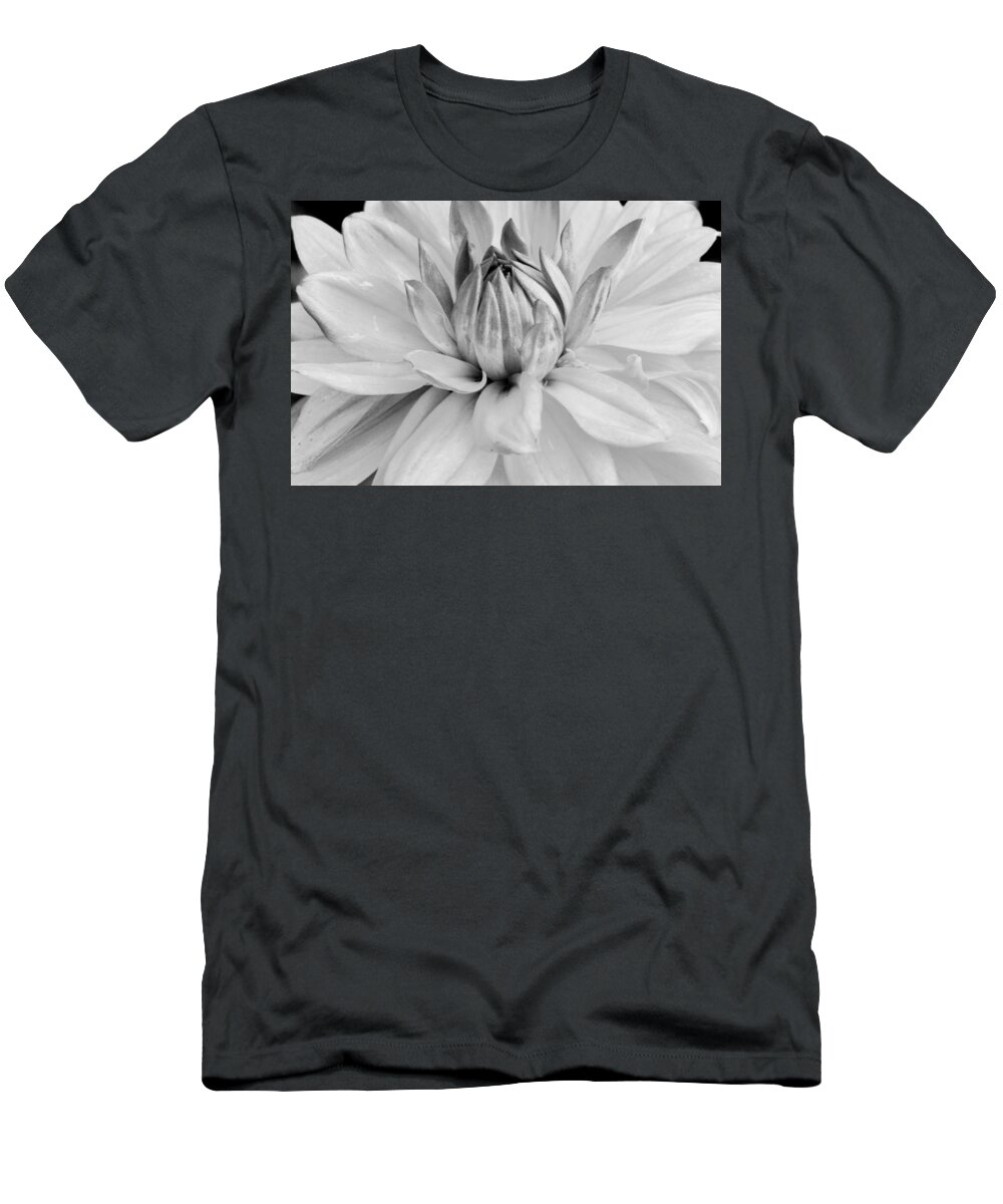 Flower T-Shirt featuring the photograph Black and White Dahlia 3 by Amy Fose