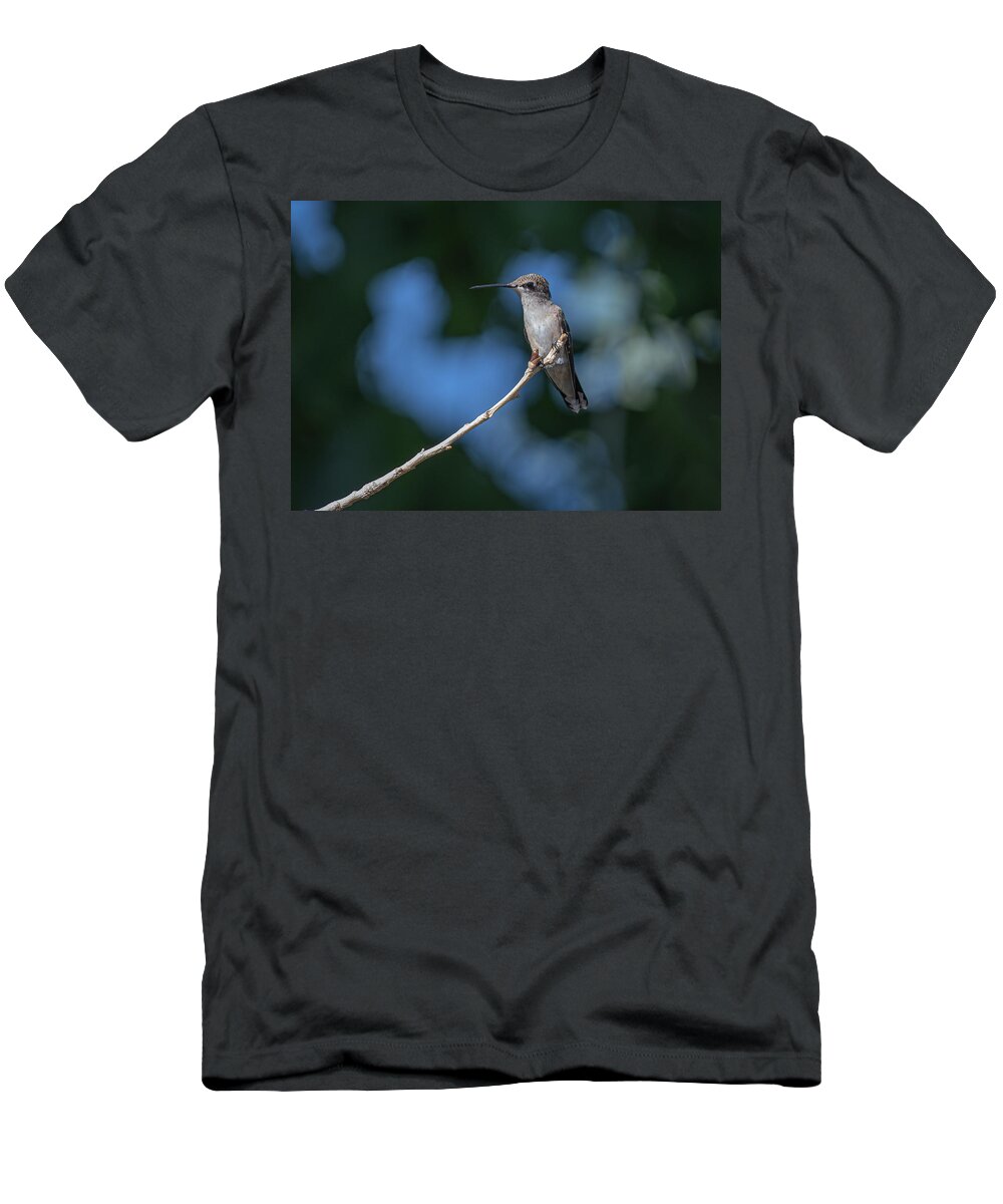 Black Chinned Hummingbird T-Shirt featuring the photograph Black Chinned Hummingbird 3 by Rick Mosher