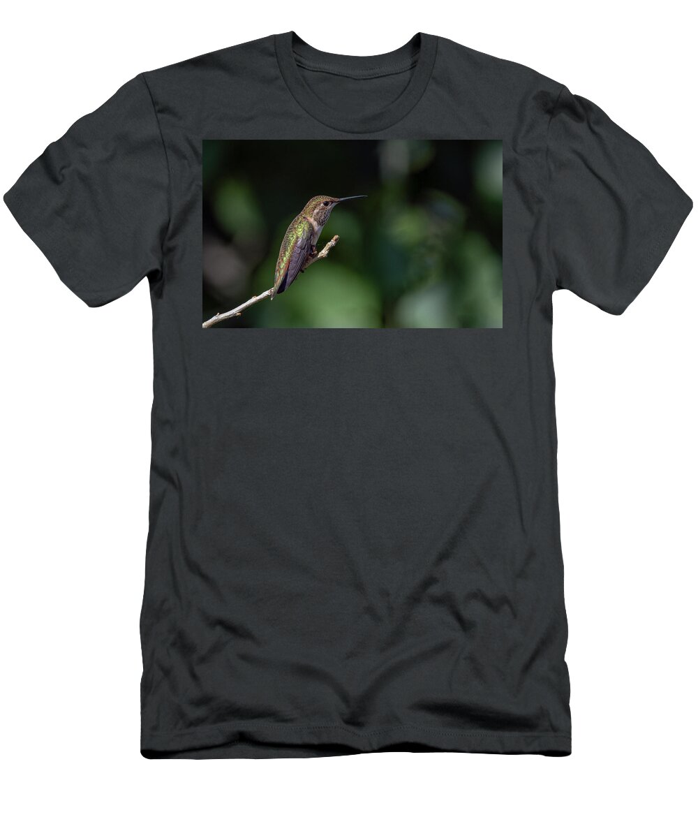 Black Chinned Hummingbird T-Shirt featuring the photograph Black Chinned Hummingbird 6 by Rick Mosher