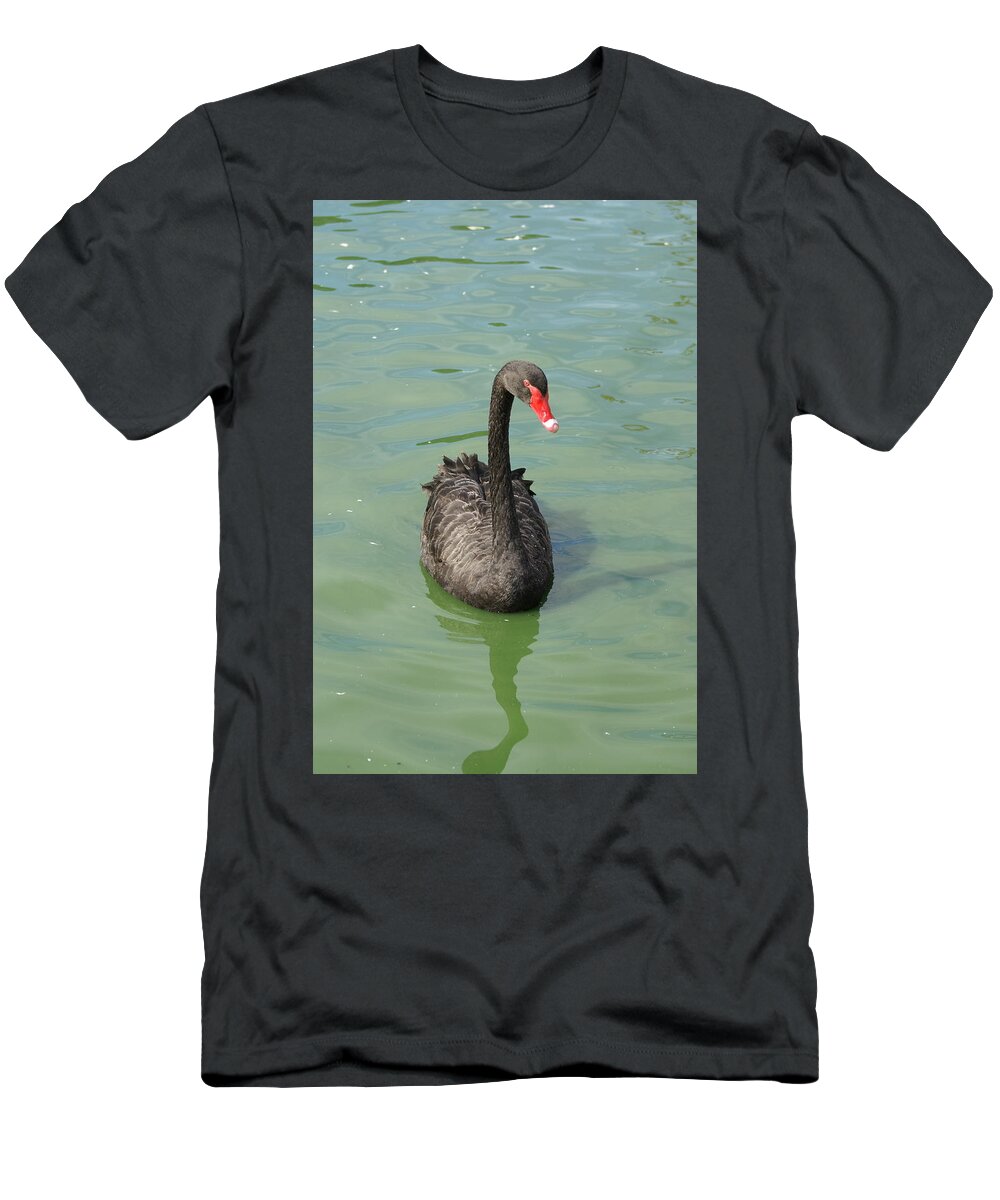  T-Shirt featuring the photograph Black Swan by Heather E Harman