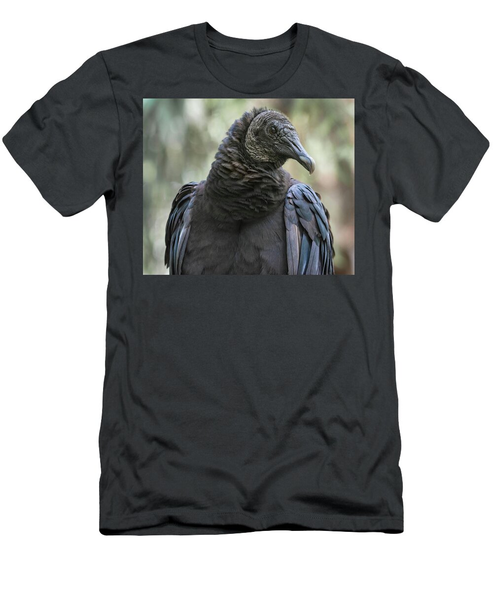 Black Vulture T-Shirt featuring the photograph Black Vulture a Bird of Carrion by Rebecca Herranen