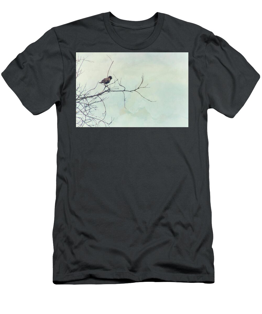 Icteridae (blackbirds T-Shirt featuring the photograph Blackbird Singing by Roberta Murray