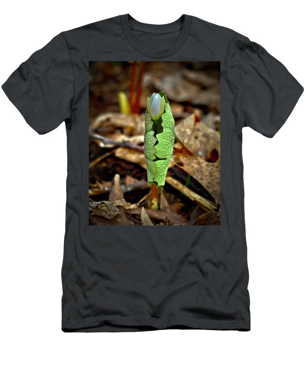 Bloodroot T-Shirt featuring the photograph Bloodroot Unfolding by Sarah Lilja