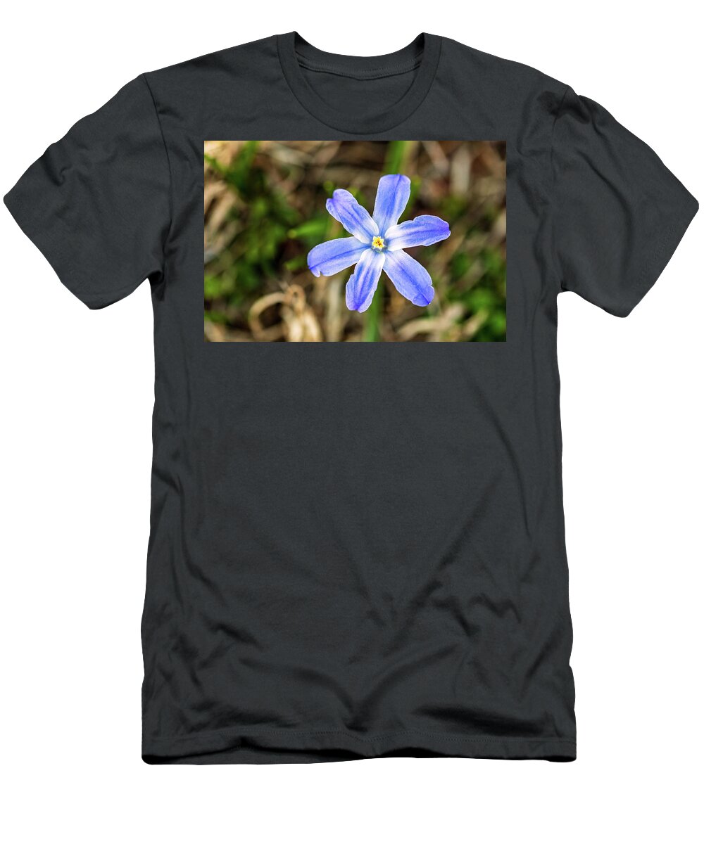 Flower T-Shirt featuring the photograph Blue Flower by Amelia Pearn