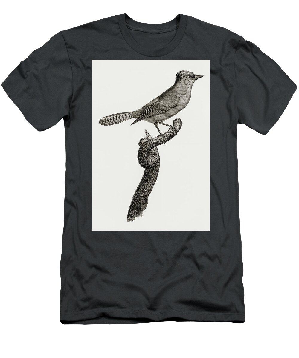 Jacques Barraband T-Shirt featuring the digital art Blue Green Jay - Vintage Bird Illustration - Birds Of Paradise - Jacques Barraband - Ornithological by Studio Grafiikka