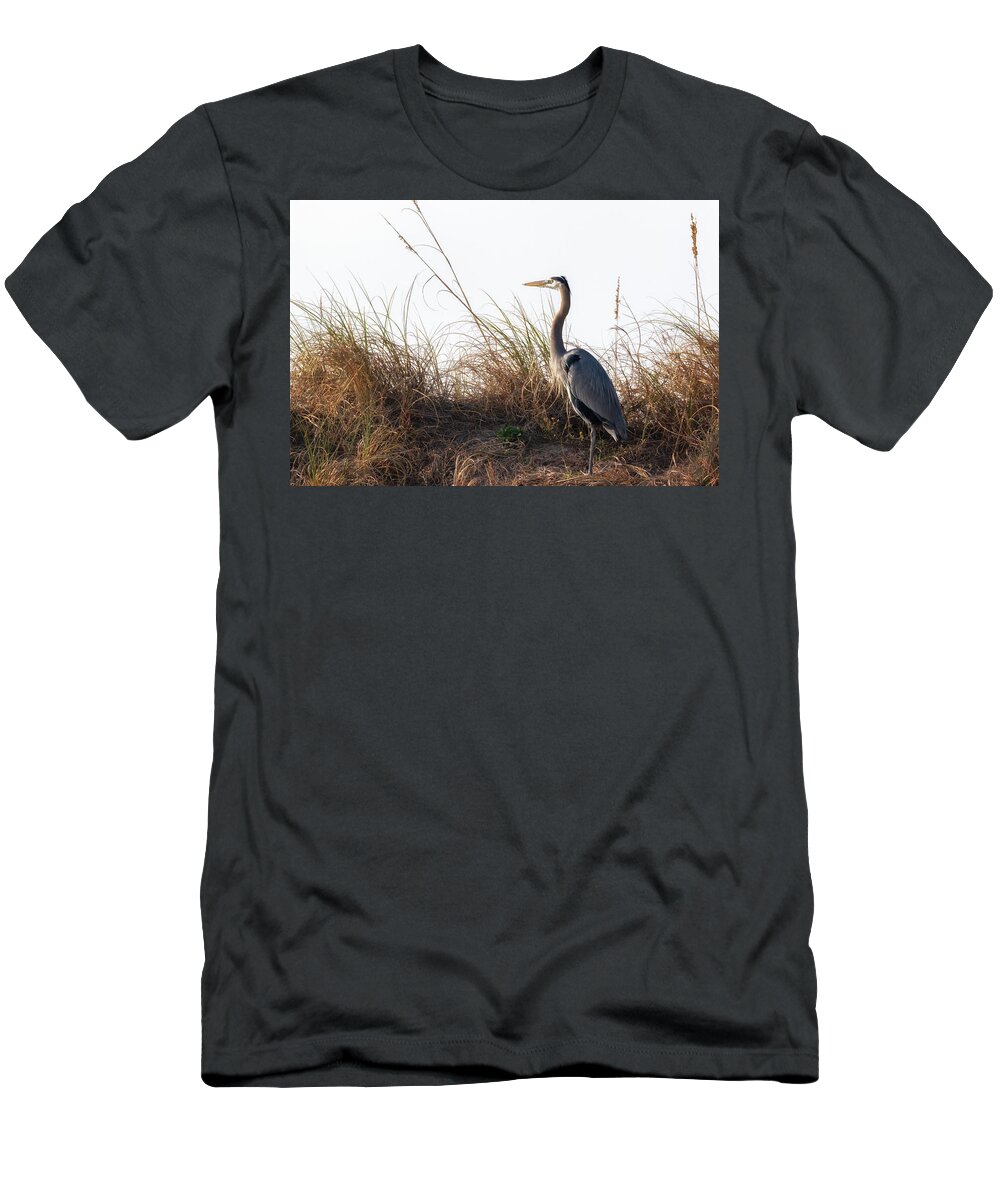 Blue Heron T-Shirt featuring the photograph Blue Heron on the Dunes by Susan Rissi Tregoning