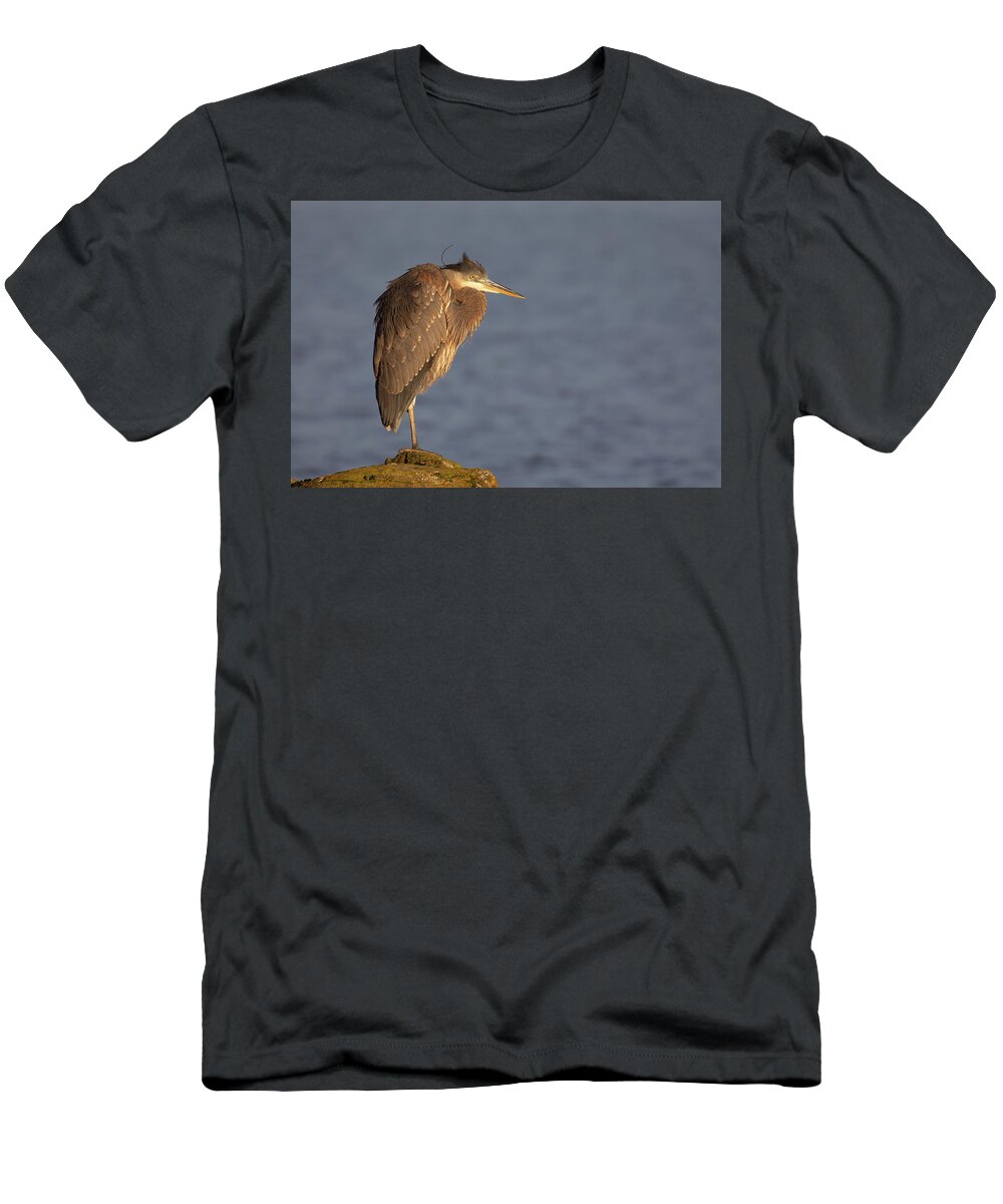 Blue Heron T-Shirt featuring the photograph Blue Heron Sunset Horizontal by Michael Rauwolf