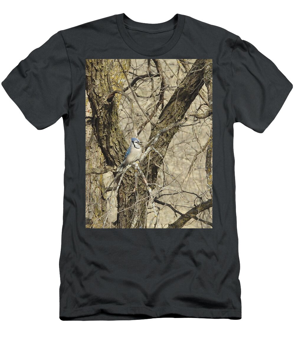 Blue Jay T-Shirt featuring the photograph Blue Jay 3 by Amanda R Wright