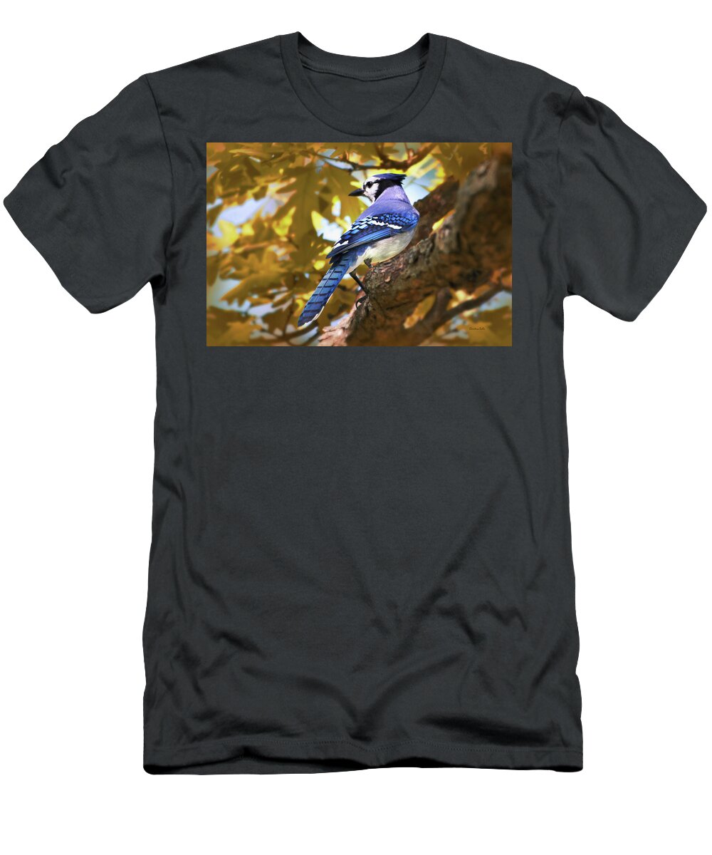 Bird T-Shirt featuring the photograph Blue Jay by Christina Rollo