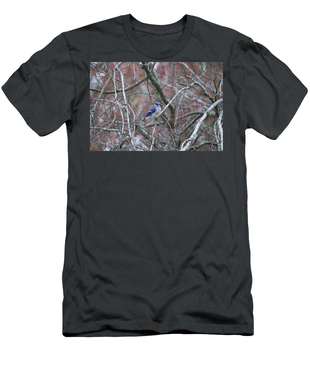  T-Shirt featuring the photograph Blue Jay by Heather E Harman