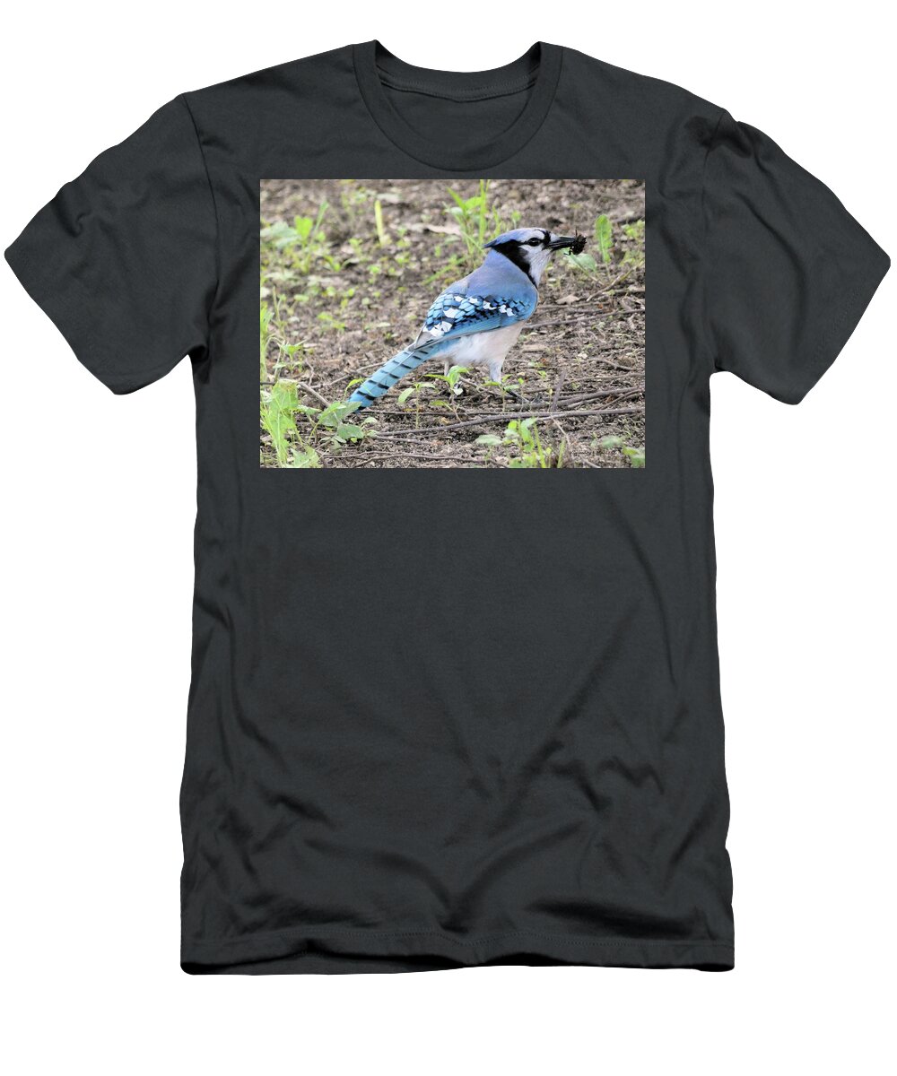 Blue T-Shirt featuring the photograph Blue Jay by Kimmary I MacLean