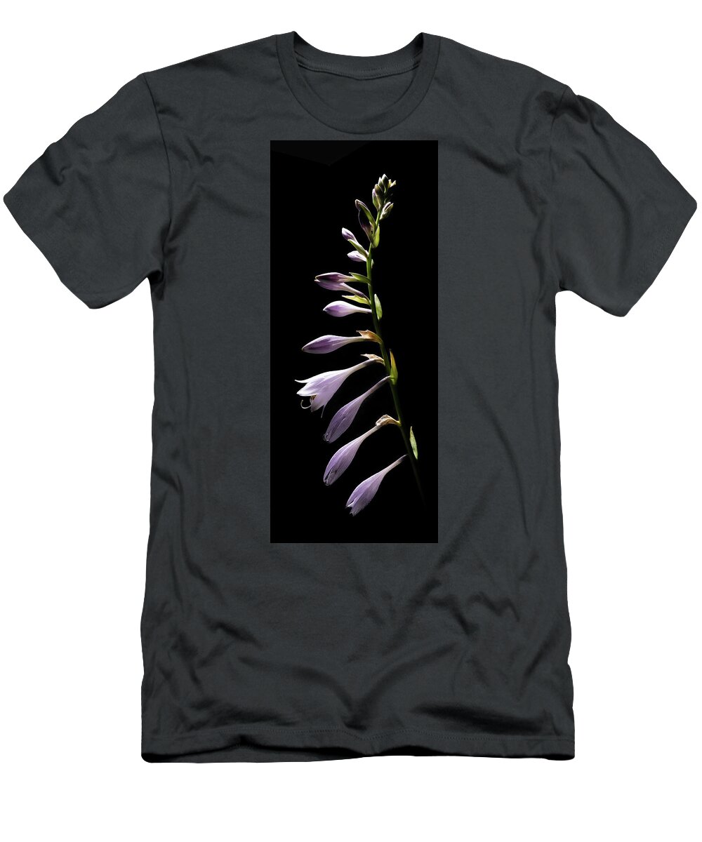 Blue Plantain Lily T-Shirt featuring the photograph Blue Plantain Lily 2 by Kevin Suttlehan