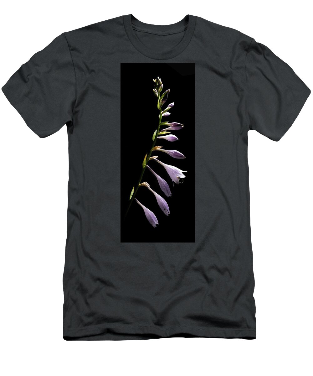 Blue Plantain Lily T-Shirt featuring the photograph Blue Plantain Lily by Kevin Suttlehan
